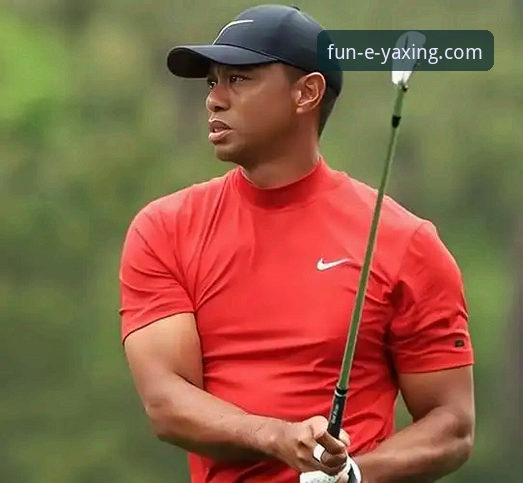 泰格·伍兹服药驾车事件深度评测：从巅峰到争议的体育界警示录